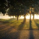 Herbstnebel in Südbaden