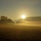 Herbstnebel in Südbaden