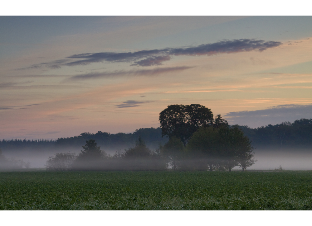 Herbstnebel IV