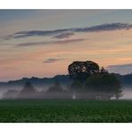 Herbstnebel IV