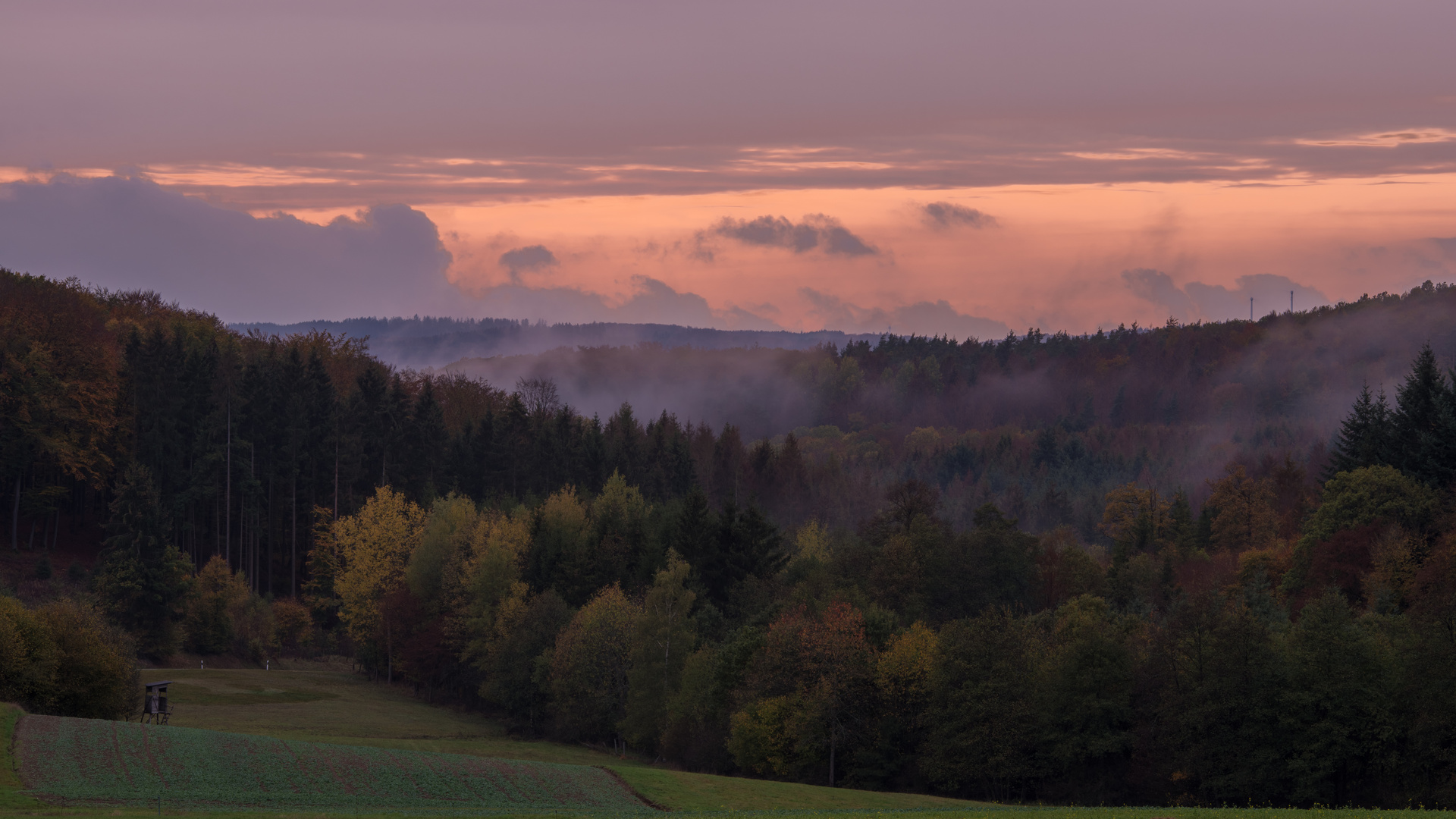 Herbstnebel nach Sonnenuntergang 