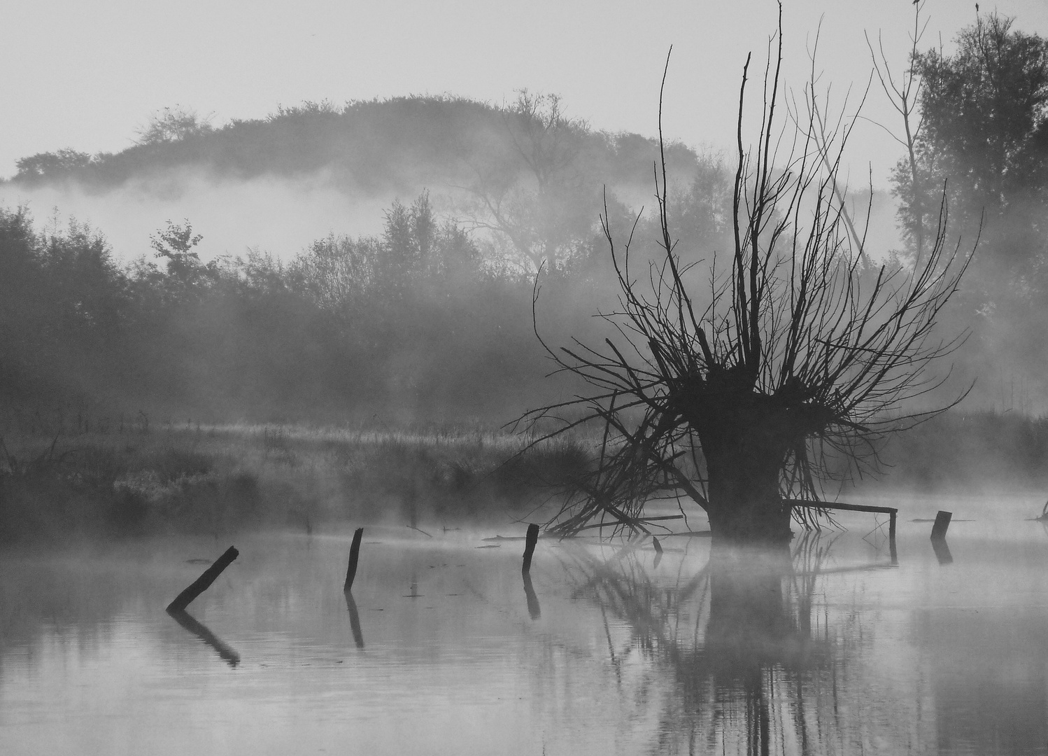 Herbstnebel Niederrheinebene