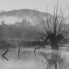 Herbstnebel Niederrheinebene