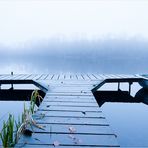 Herbstnebel senkt sich übers Wasser