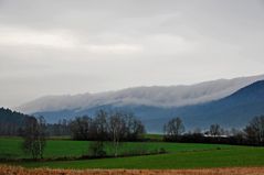 Herbstnebel-Stimmung am Kaitersberg