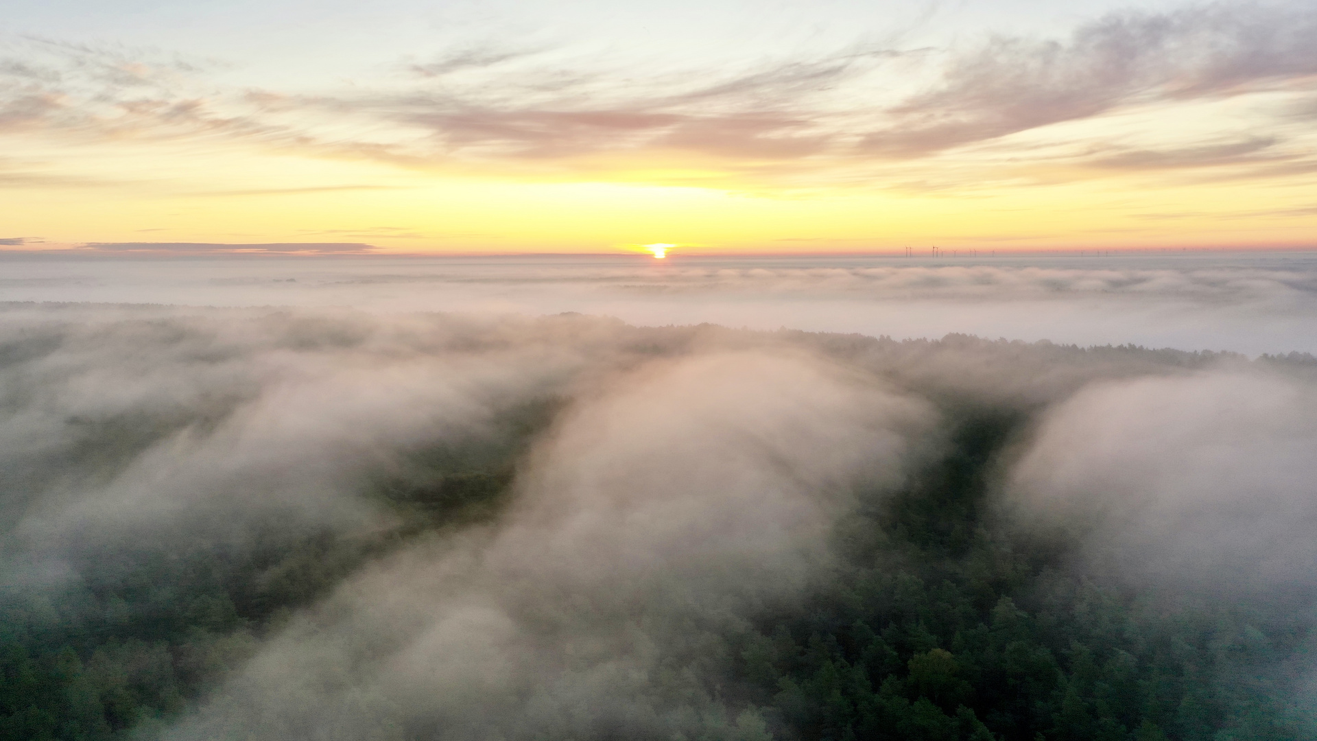 HerbstNebel über Brandenburg 