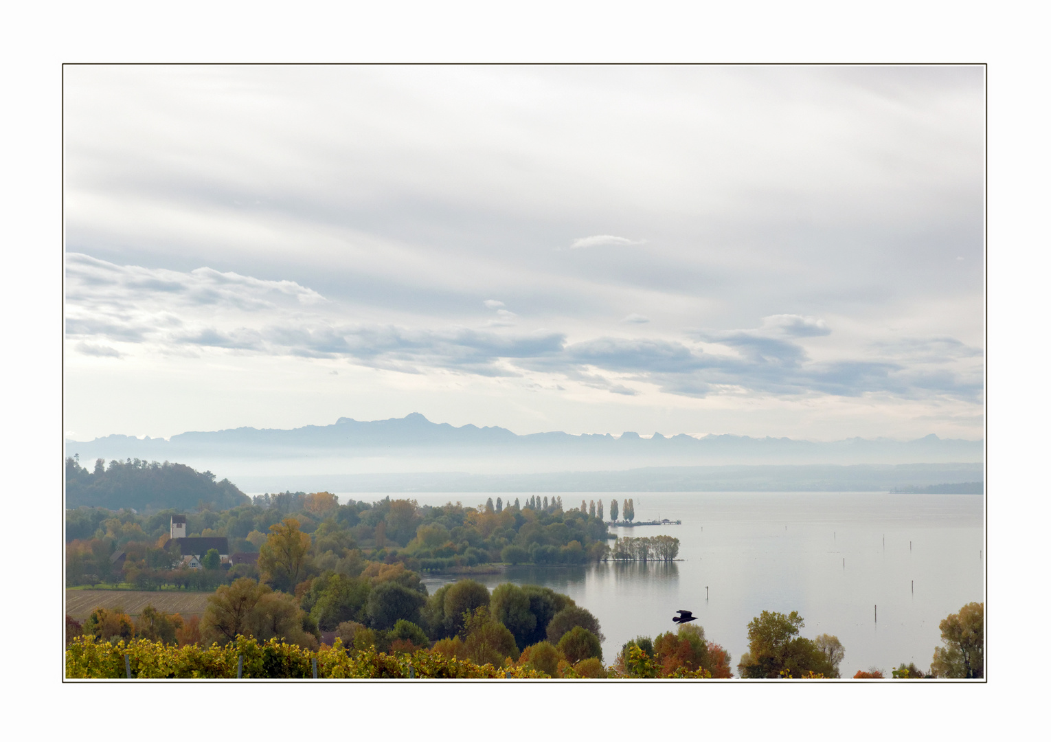 Herbstnebel über dem Bodensee