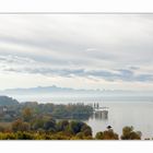 Herbstnebel über dem Bodensee