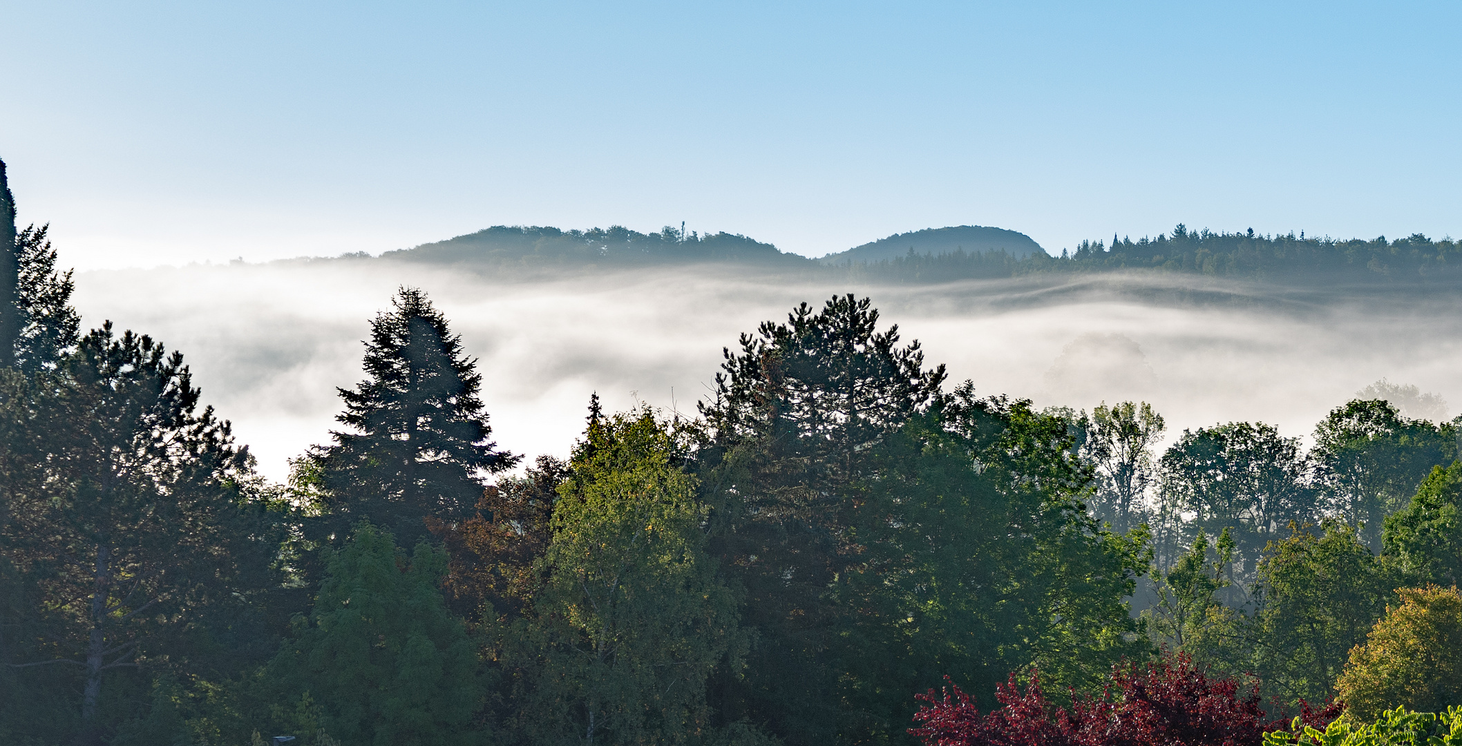 Herbstnebel über dem Steinlachtal