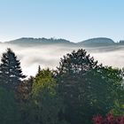 Herbstnebel über dem Steinlachtal