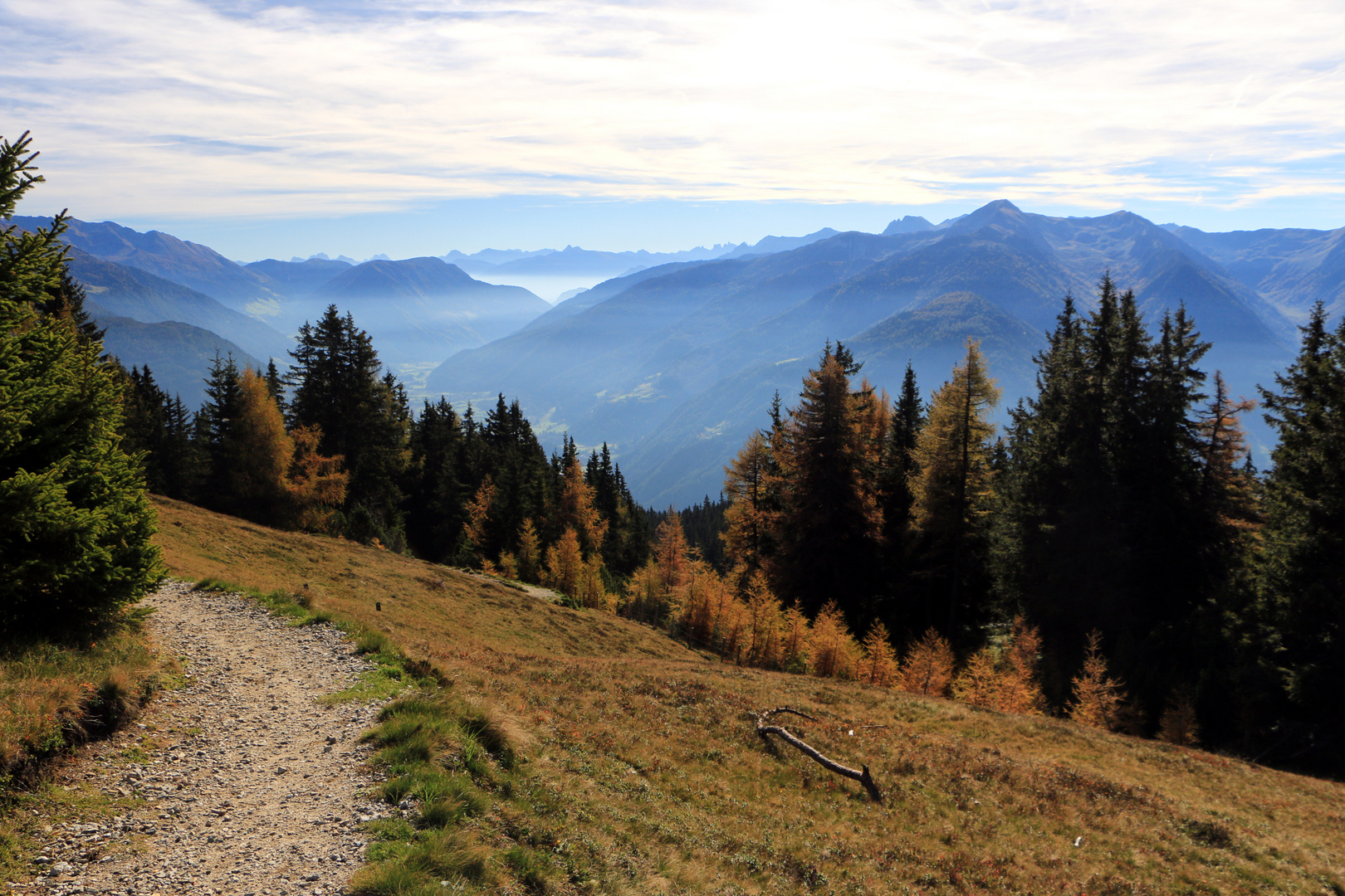 Herbstnebel über dem Tal