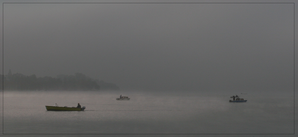 Herbstnebel über dem Zürichsee; Variante ...