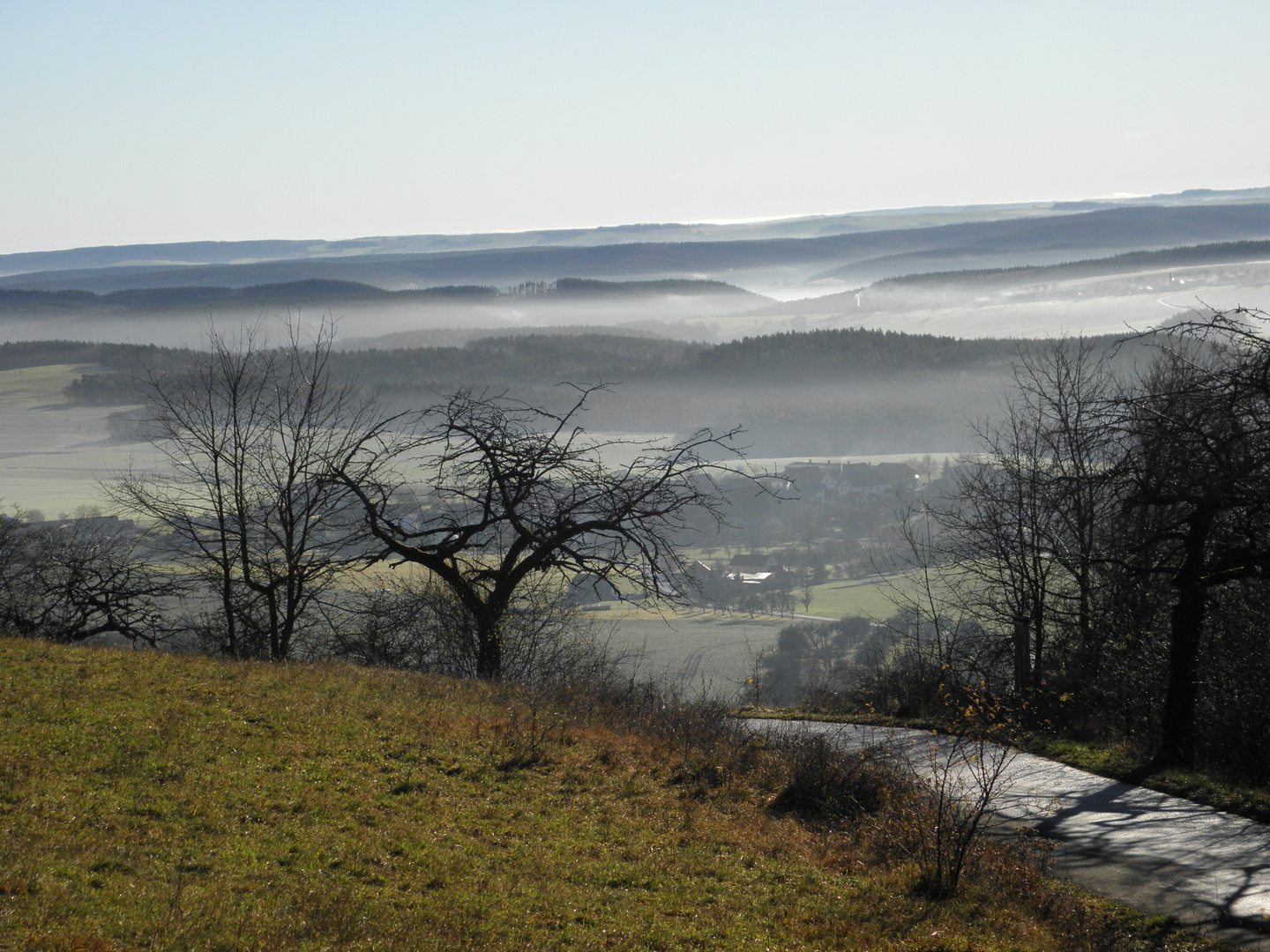 herbstnebel über den Hexengrund