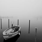 Herbstnebel über der Schlei