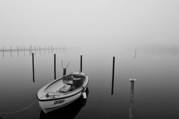 Herbstnebel über der Schlei