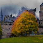 Herbstnebel über Märchenschloss