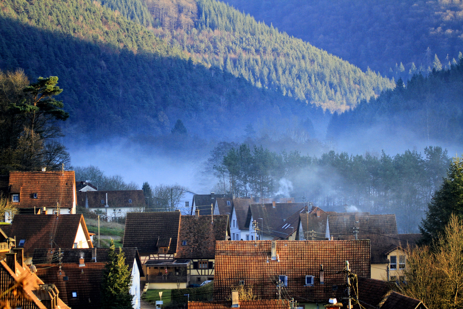 Herbstnebel über Niederschlettenbach / Südwestpfalz