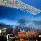 Herbstnebel über Niederschlettenbach / Südwestpfalz