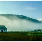 Herbstnebel überm See