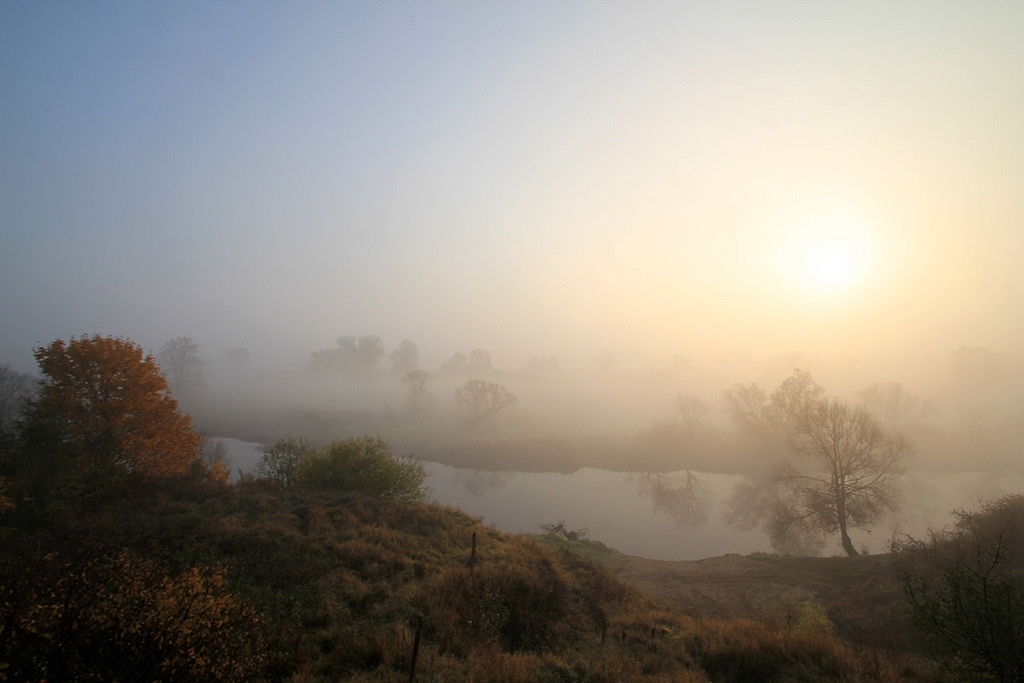 Herbstnebel und Morgensonne