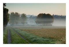 Herbstnebel V