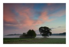 Herbstnebel VI