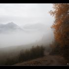 Herbstnebel_01