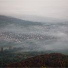 Herbstnebel1