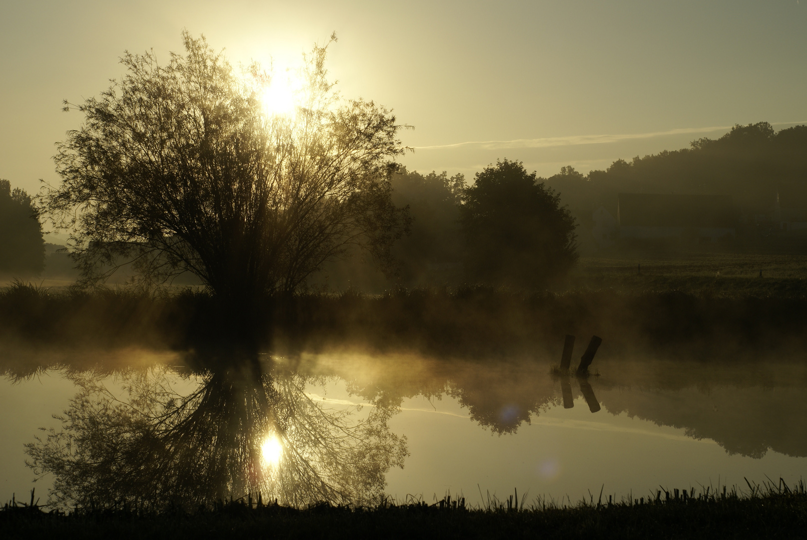 Herbstnebel#2