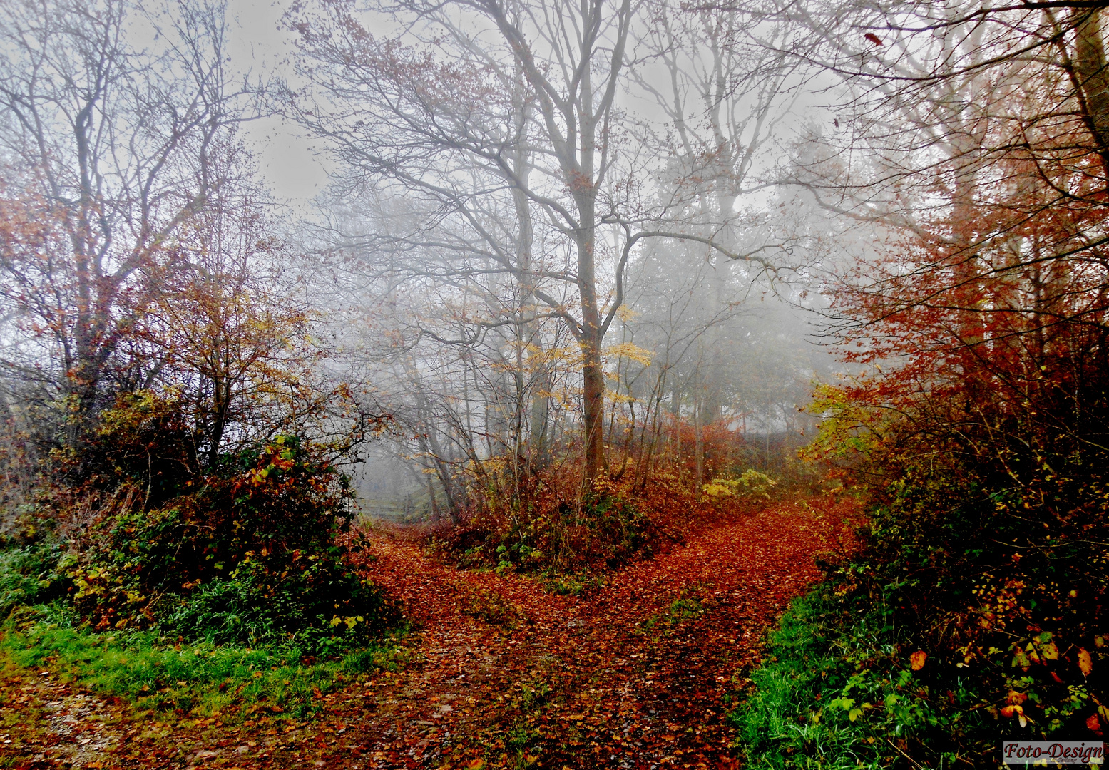 Herbstnebel2