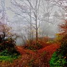 Herbstnebel2