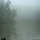 Herbstnebel_2