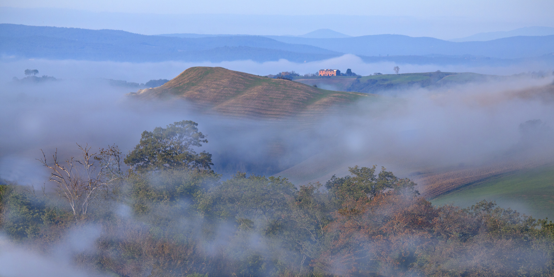 Herbstnebel2