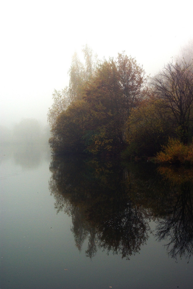 Herbstnebel_7