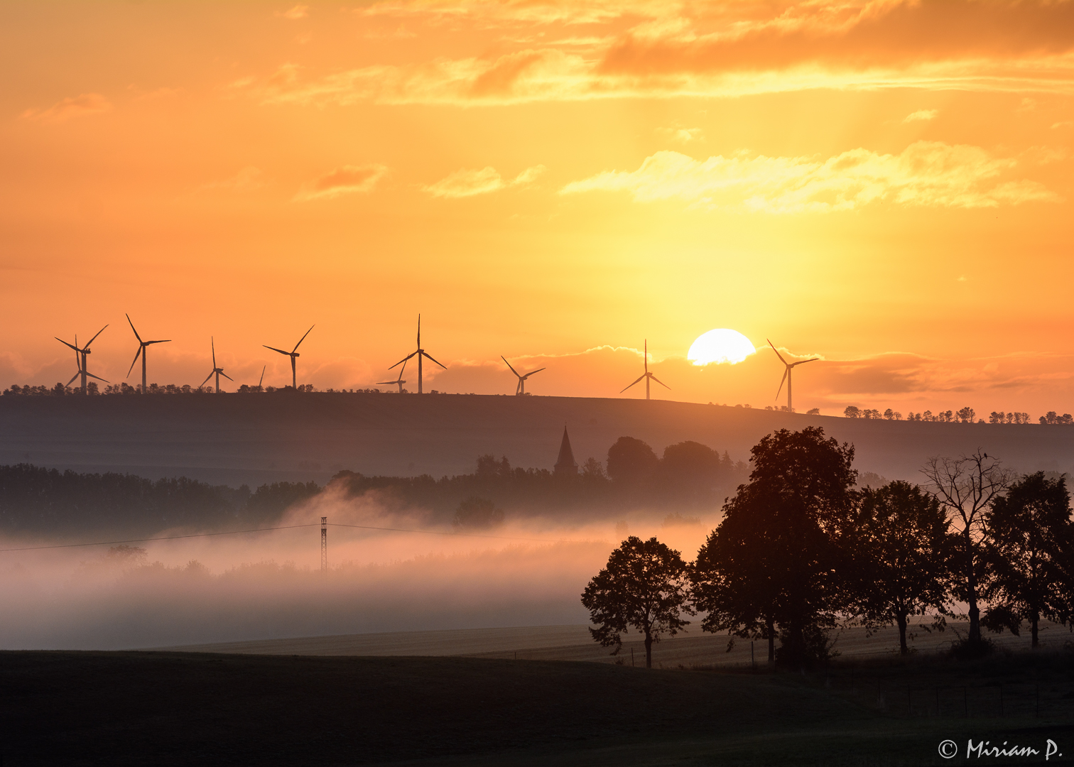 Herbstnebelmorgen 