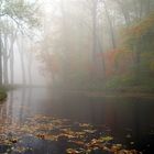 Herbstnebelsee