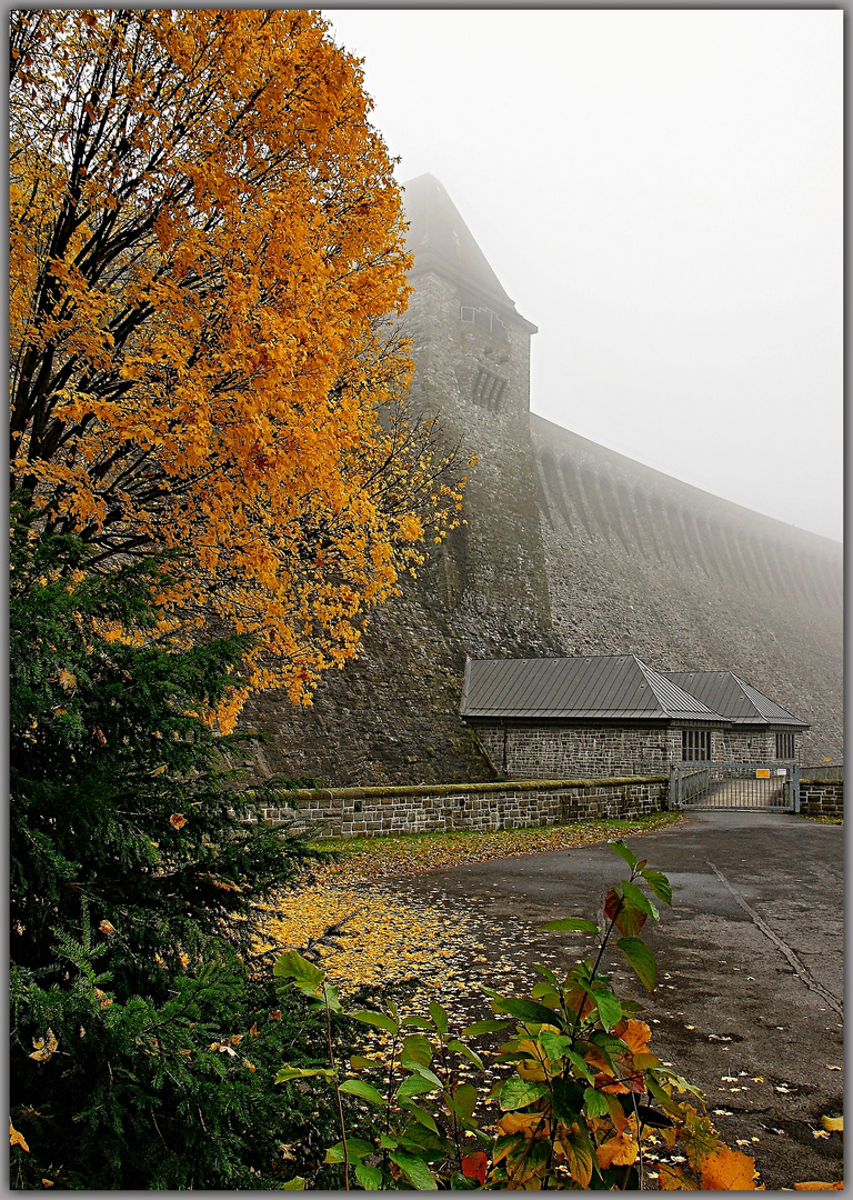 Herbstnebeltag