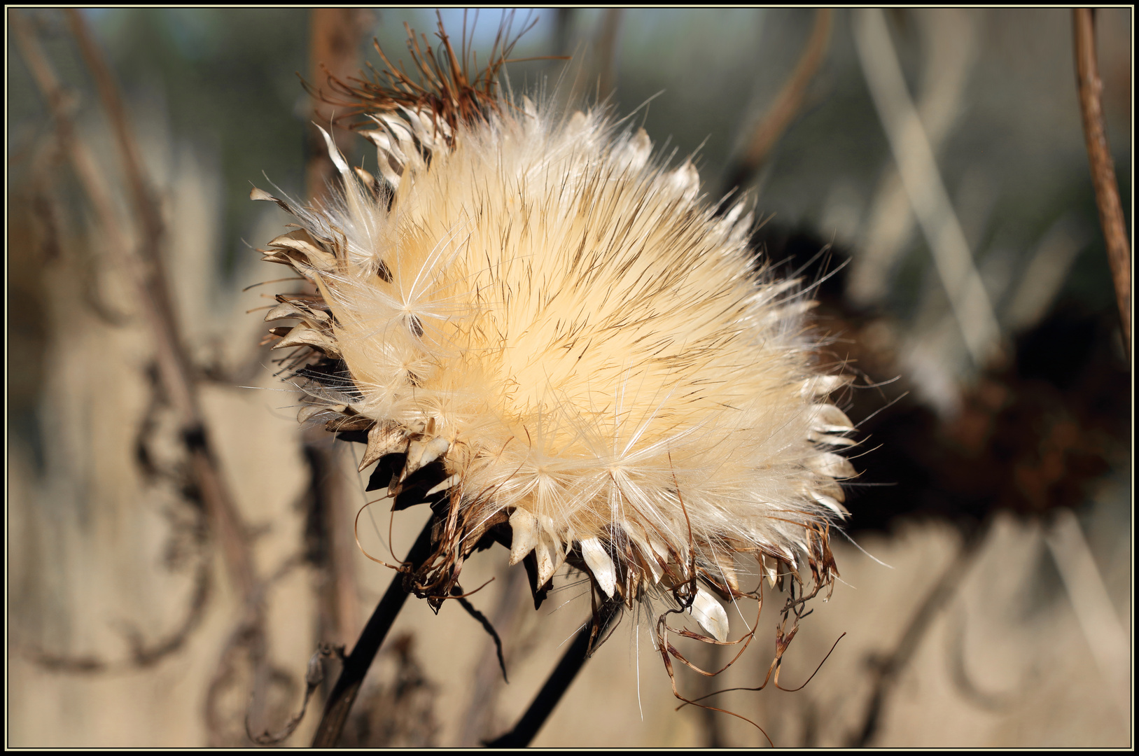 Herbstnostalgie