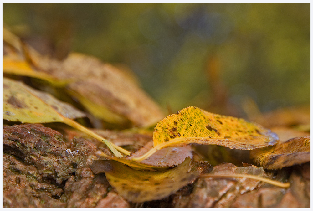 - HerbstPalette -