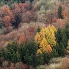 Herbstpalette