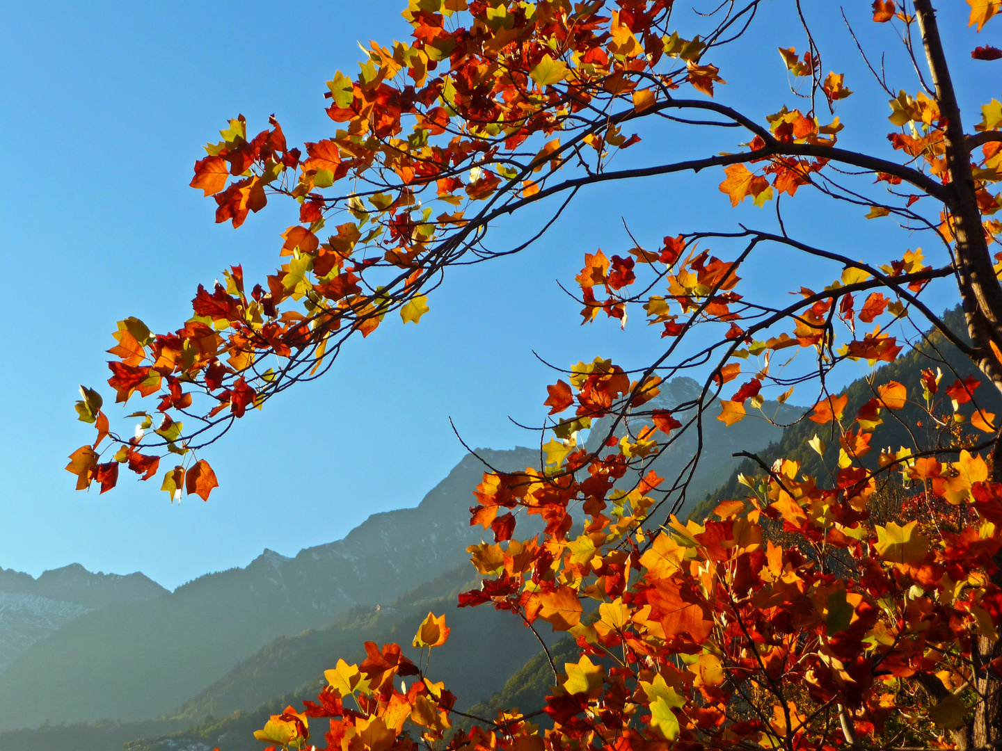 Herbstpalette