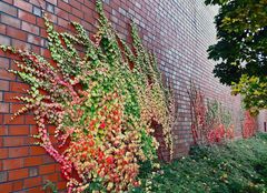 Herbstpalette