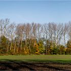 Herbstpano