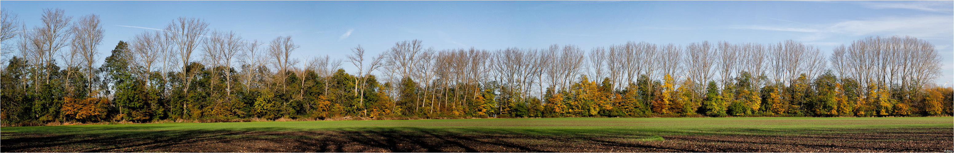 Herbstpano