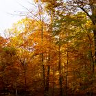 Herbstpanorama #1