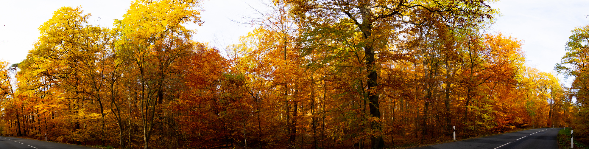 Herbstpanorama #1