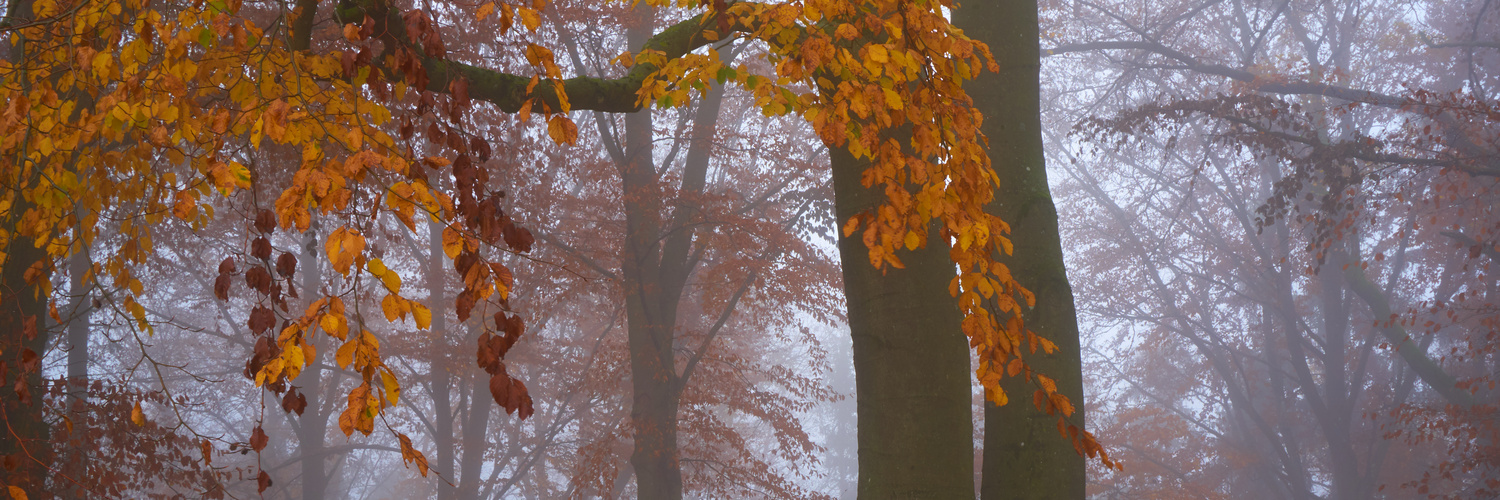 Herbstpanorama 1