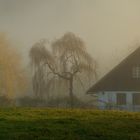 Herbstpanorama