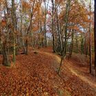 Herbstpanorama