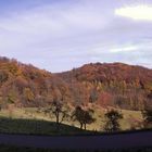 Herbstpanorama